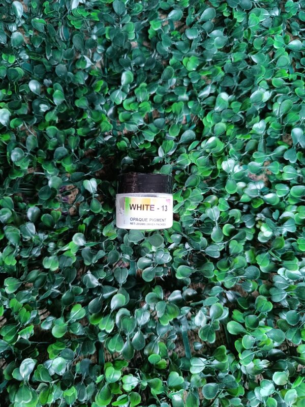 Opaque pigment White